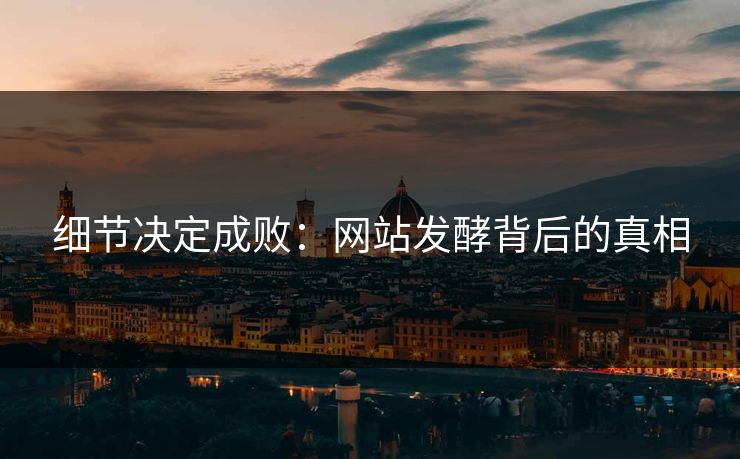 细节决定成败：网站发酵背后的真相