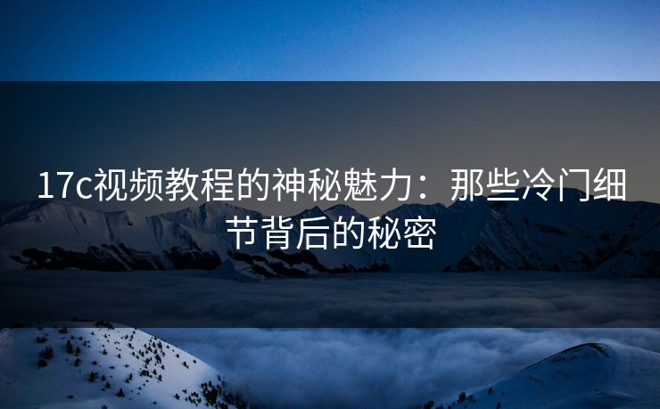 17c视频教程的神秘魅力：那些冷门细节背后的秘密