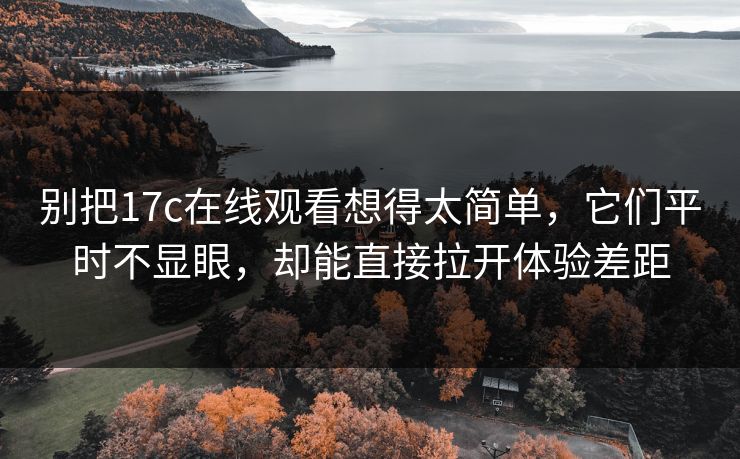 别把17c在线观看想得太简单，它们平时不显眼，却能直接拉开体验差距