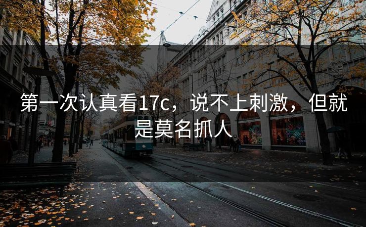 第一次认真看17c,说不上刺激,但就是莫名抓人