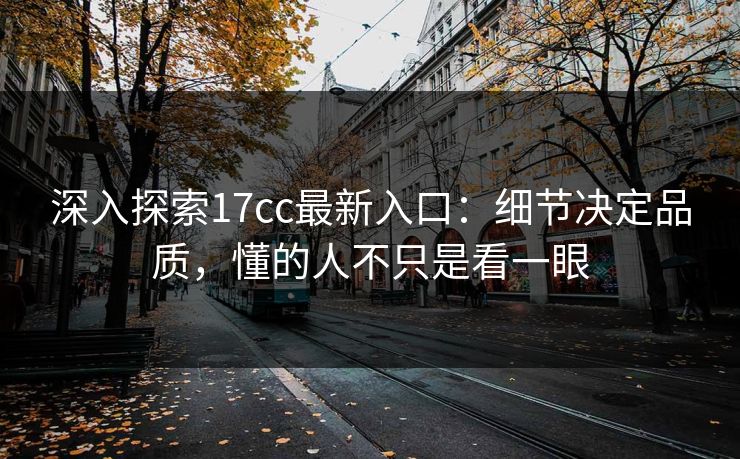 深入探索17cc最新入口：细节决定品质，懂的人不只是看一眼
