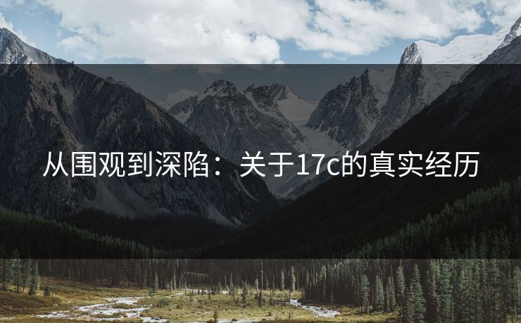 从围观到深陷：关于17c的真实经历